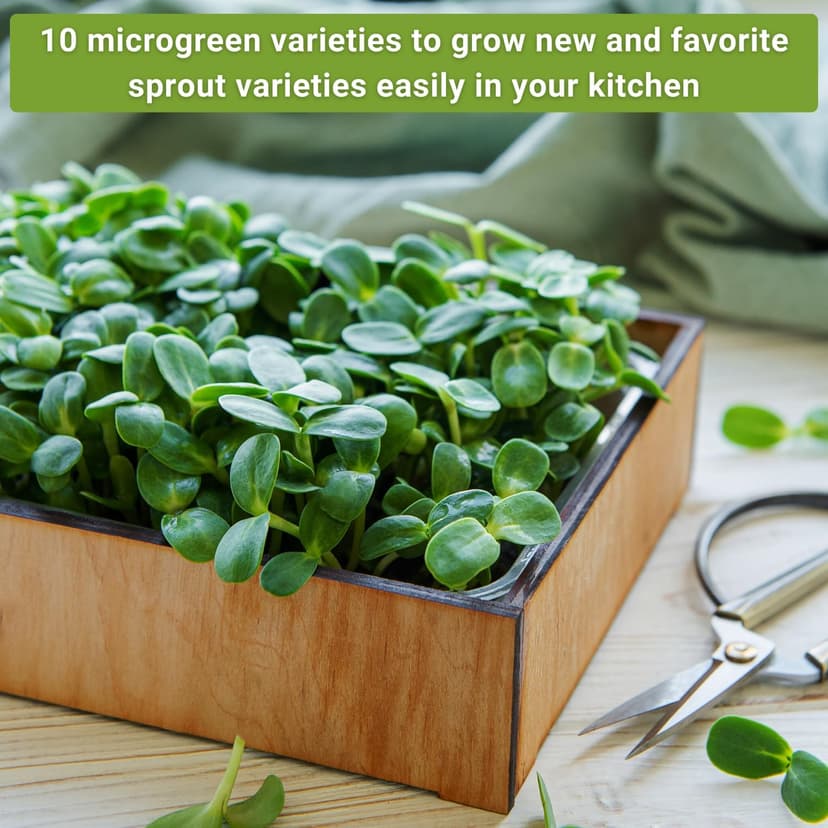 Sow Right Seeds - Microgreens Seed Sample Pack - 10 Packets of Healthy Superfoods to Sprout and Grow Indoors on Your Kitchen Counter - Broccoli, Cress, Sunflower, Arugula, Kale, Radish, Pea, and More