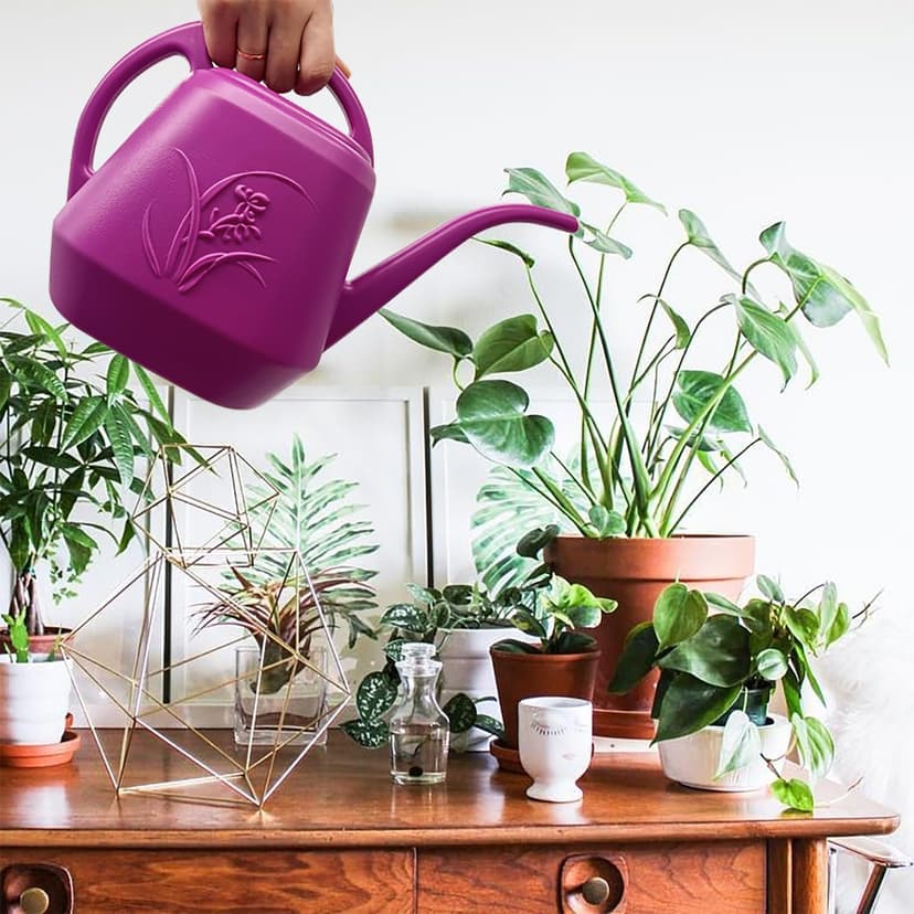 Watering Can - for Home Plant Garden - 1/2 Gallon - Rose Red