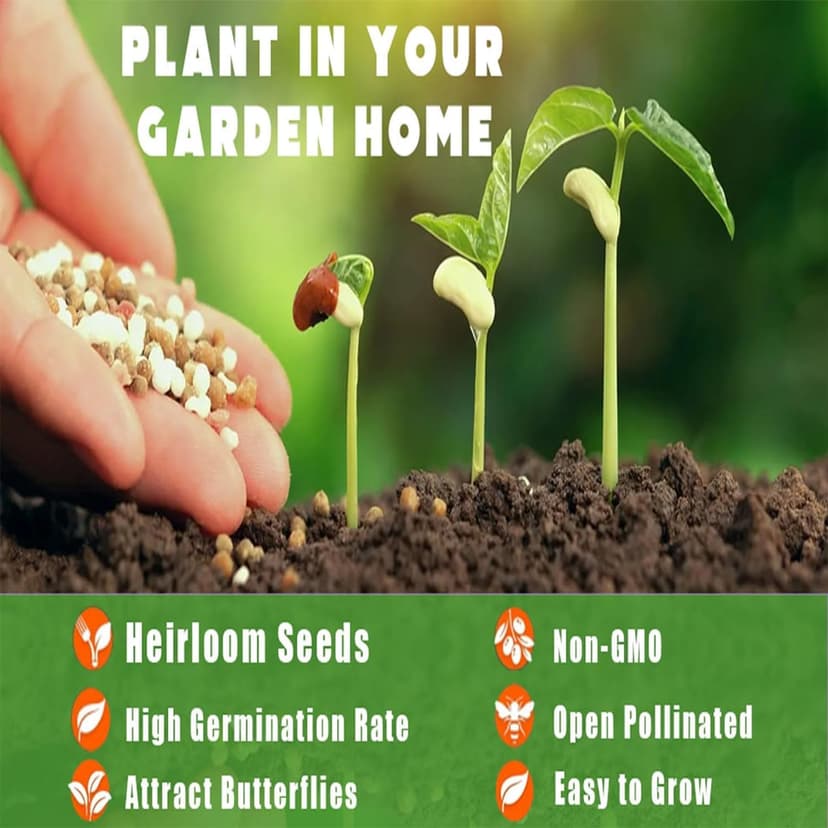 6 Types Mix Fruit Seeds for Planting Outdoor-100 Grape &100 Apple & 100 Kiwi & 10 Cherimoya &10 Mulberry & 20 Cherry Seeds Non-GMO Heirloom Fruit Seeds Sweet and Delicious