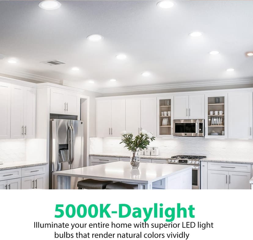 DAYBETTER BR30 LED Light Bulbs Indoor Flood Light, 5000K Daylight White LED Bulb 65W Equivalent, Dimmable, E26 Base, 800LM, Recessed Can Bulb for Living Room Bedroom Dining Room Bathroom, 12Pack
