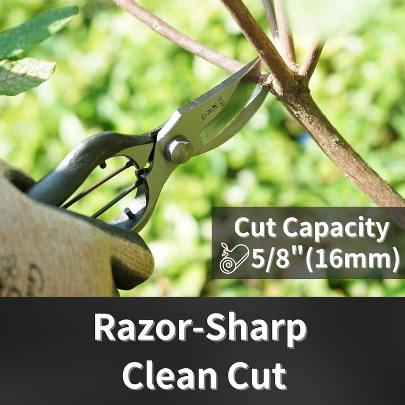 Japanese Pruning Shears for Gardening 8”, Professional Heavy Duty Bypass Pruners, Hand Forged Japanese Carbon Steel Blade, Spring Loaded Handle, Made in Japan