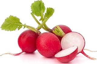 500 Cherry Belle Radish Seeds | USA Grown, Non-GMO, Heirloom | Fast-Growing, Sweet & Crisp | Harvest in 25 Days | Spring Vegetable for Gardeners of All Levels