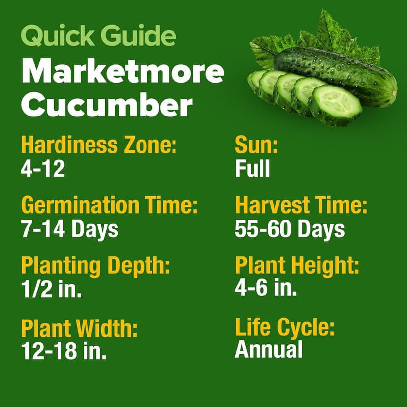 HOME GROWN Organic Cucumber Seeds - 200 Marketmore Heirloom 𝗡𝗢𝗡-𝗚𝗠𝗢 𝗨𝗦𝗔 Vegetable Seeds for Planting in Trellises,Raised Beds,Containers - Beginners and Experienced Gardeners(Cucumis sativus)