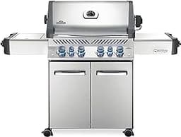 The 11 best napoleon gas grills of 2025