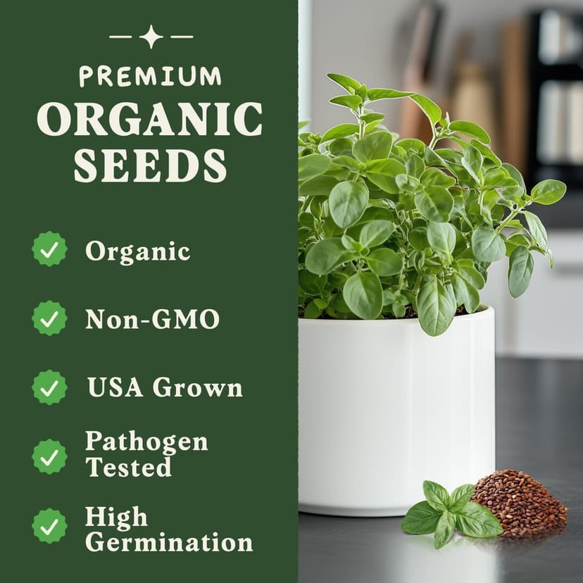 Organic Oregano Seeds for Planting Indoor and Outdoor, Non-GMO and USDA Certified Herb Seed Packet for Hydroponic Garden Indoor or Planting Outdoors (Italian Oregano)