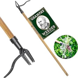 The 11 best hand weeding tools of 2025
