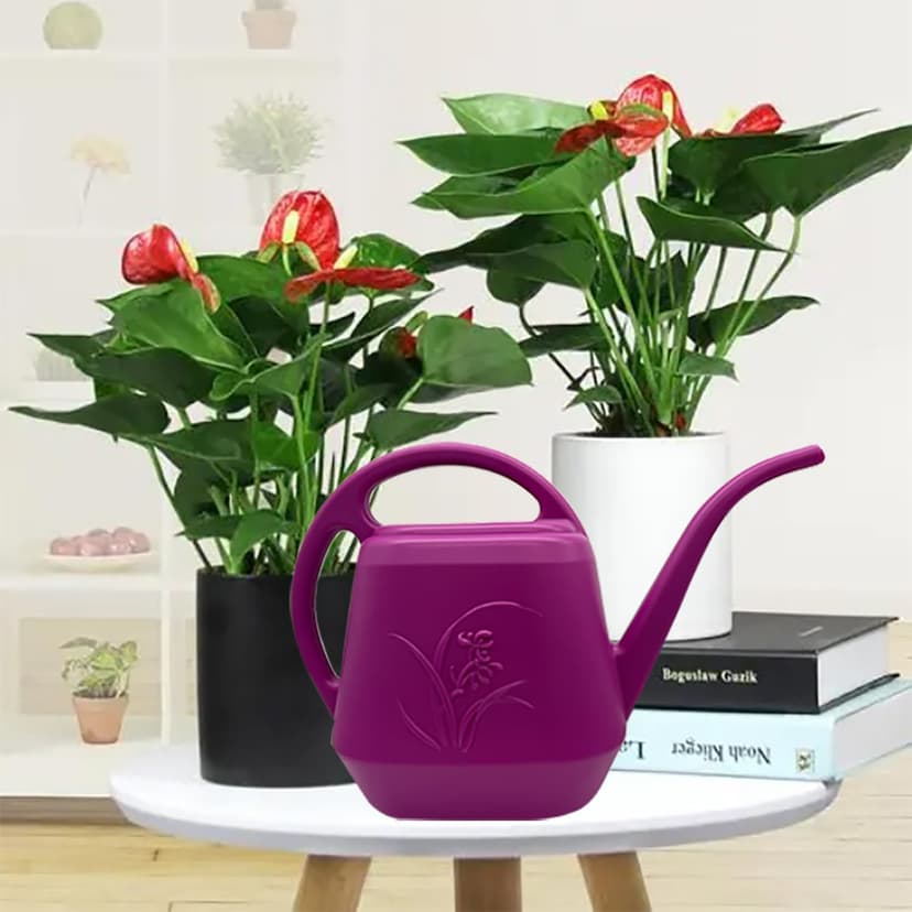 Watering Can - for Home Plant Garden - 1/2 Gallon - Rose Red