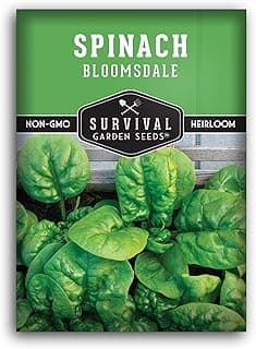 Survival Garden Seeds - Bloomsdale Spinach Seed for Planting - Packet with Instructions to Plant and Grow Delicious Spinach Greens in Your Home Vegetable Garden - Non-GMO Heirloom Variety - Plant Seed