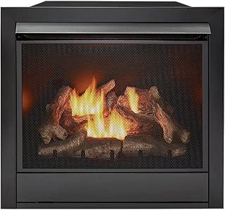 Duluth Forge Dual Fuel Ventless Gas Fireplace Insert, Remote Control, 9 Fire Logs, Use with Natural Gas or Liquid Propane, 32000 BTU, Heats up to 1500 Sq. Ft., Black