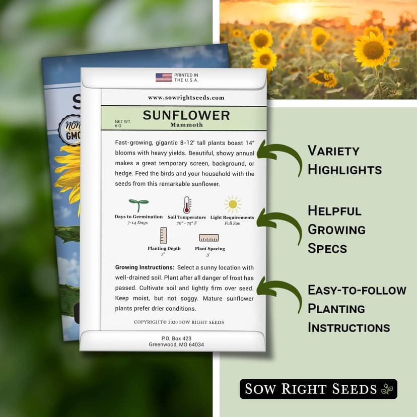 Sow Right Seeds - Mammoth Sunflower Seeds to Plant - Grow Giant Sunflowers in Your Garden - Non-GMO Heirloom Seeds for Planting an Outdoor Garden - Bright Yellow Blooms - Attract Bees and Birds (1)