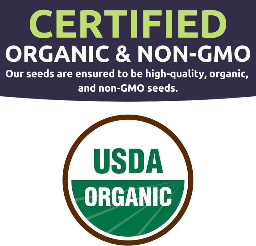 Organic Arugula Seeds - 2 SEED PACKETS! - Over 1,000 Open Pollinated Non-GMO USDA Organic Seeds