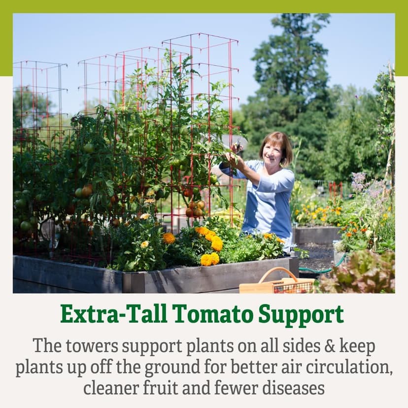 Gardener’s Supply Company Extra Tall Heavy-Guage Square Tomato Cages | Easy Fold Plant Supports & Vegetable Garden Stakes | 14.25" x 14.25" x 65" - Red (Set of 2)