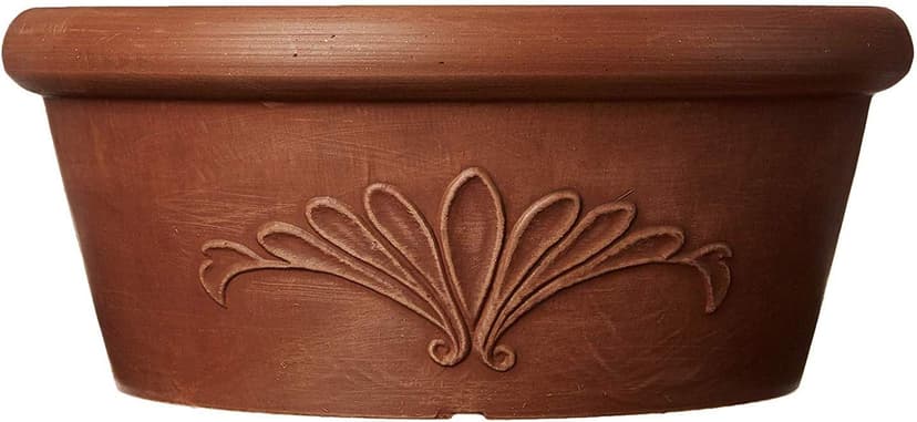 PSW Pot TA30TC Collection Shallow Bulb Pan Planter Dish Low Bowl for Succulents, Bonsai, Fairy Gardens, Herbs, 12-inch, Terra Cotta Color