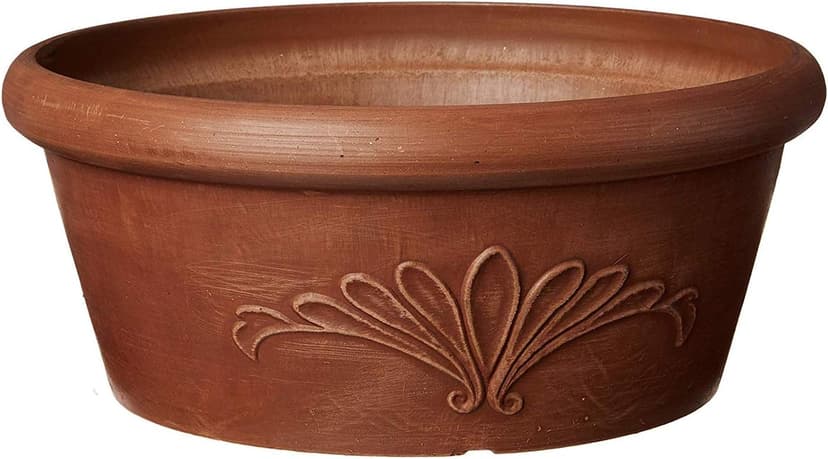 PSW Pot TA30TC Collection Shallow Bulb Pan Planter Dish Low Bowl for Succulents, Bonsai, Fairy Gardens, Herbs, 12-inch, Terra Cotta Color