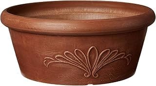 PSW Pot TA30TC Collection Shallow Bulb Pan Planter Dish Low Bowl for Succulents, Bonsai, Fairy Gardens, Herbs, 12-inch, Terra Cotta Color