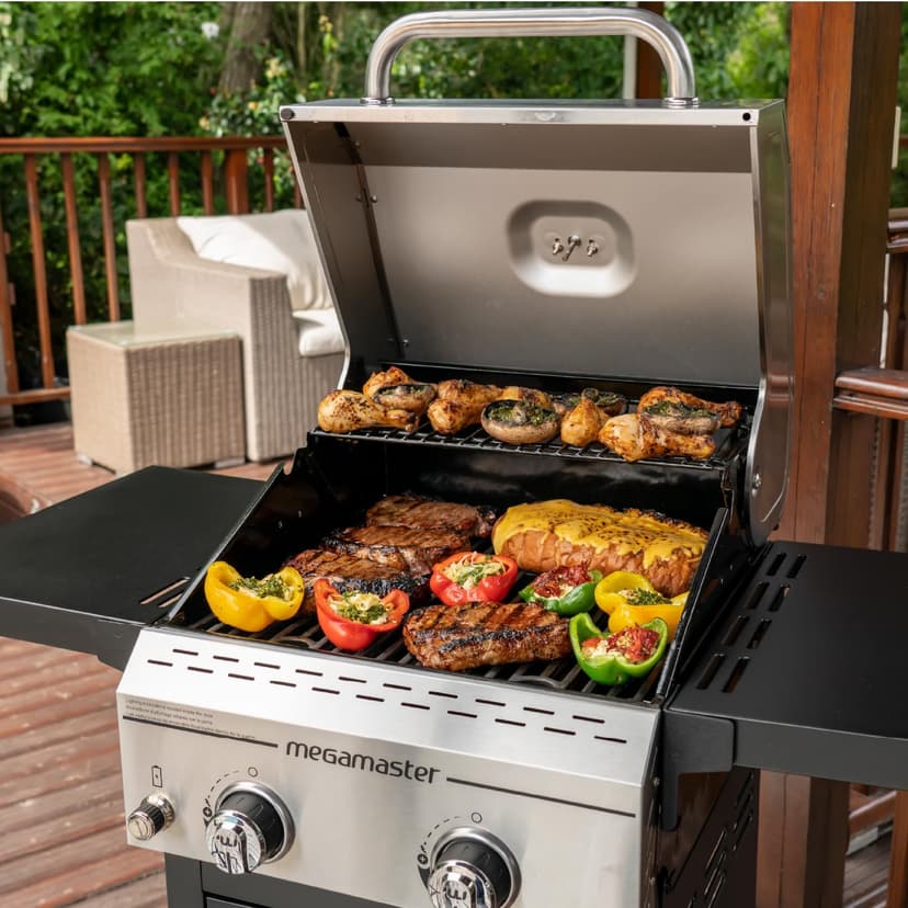 2-Burner Propane Barbecue Gas Grill with Foldable Side Tables, Perfect for Camping, Outdoor Cooking, Patio, Garden Barbecue Grill, 28000 BTUs, Silver and Black, 720-0864MA
