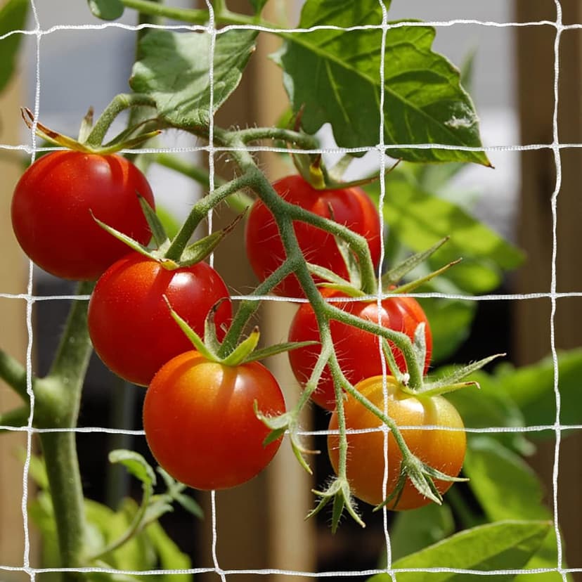 Tcamp Heavy-Duty Polyester Garden Trellis Netting Plant Climbing Net for Growing Vines Plants Vegetables Fruits Flowers, White Grow Tent (4.9Ft x15Ft, 3.5" Opening Mesh, 1 Pack Plant Net)