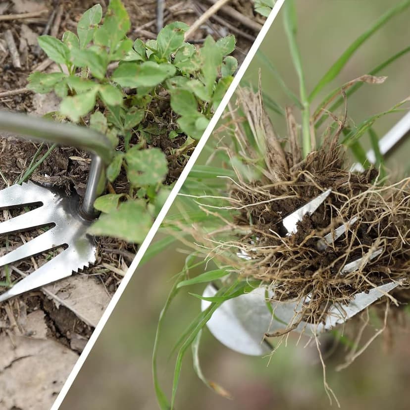 Weeding Artifact Uprooting Weeding Tool, Garden Weeding Tools Hand Weeder Tool, Stainless Steel Weed Puller 4 Teethes Dual Purpose Weeder, Multifunctional Weeder Manual Weed Remover Tool (Wood-12inch)