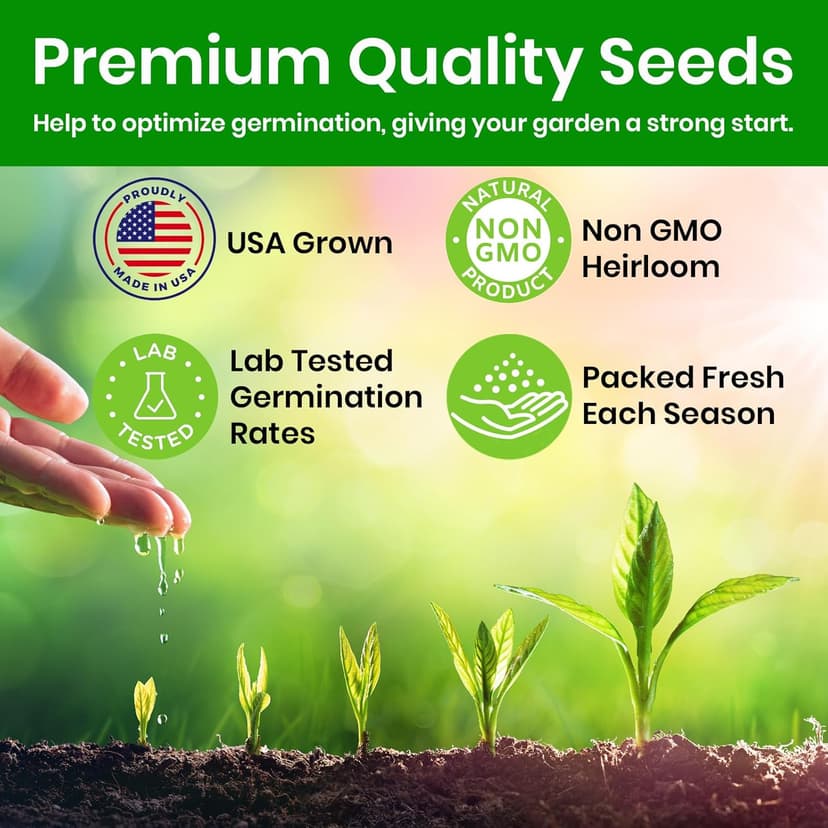 Lettuce Seeds for Planting, Red Romaine Lettuce, Bibb Butter Lettuce, Black Seeded Simpson, Green Ice Iceberg Lettuce, Non-GMO…