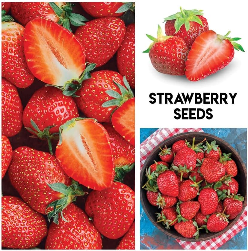 Fruit Garden Seeds Kit for Growing - Elderberry, Blueberry, Red Strawberry, White Strawberry, Raspberry, Mulberry. 100 Seeds of Each Fruit - Packaged Individually