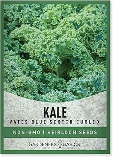 Gardeners Basics, Kale Seeds for Planting, Heirloom, Non-GMO Vegetable Variety - Great for Indoor, Outdoor, and Hydroponics Gardening (Vates Blue Scotch Curled)