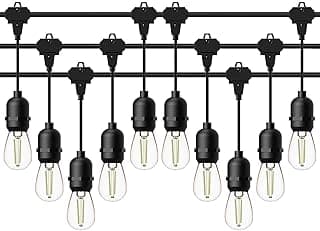 GOODSMANN LED Low Voltage String Lights 12V AC 50FT 10PCS 2W Bulbs 135 Lumens Hanging Landscape Lighting 2800K String Weatherproof Decorative Lights for Patio Lights