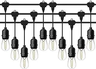 GOODSMANN LED Low Voltage String Lights 12V AC 50FT 10PCS 2W Bulbs 135 Lumens Hanging Landscape Lighting 2800K String Weatherproof Decorative Lights for Patio Lights