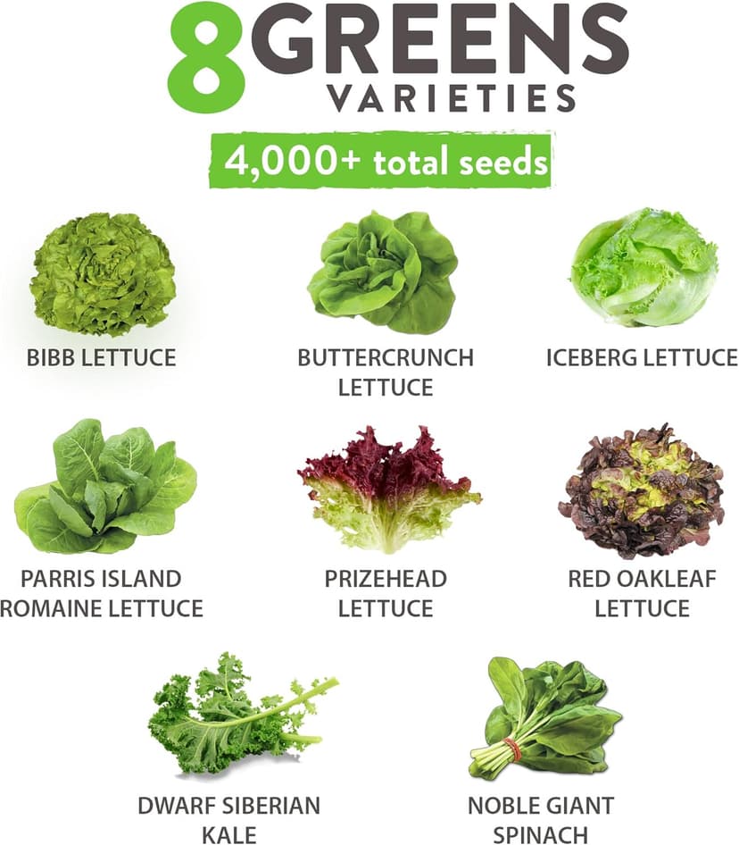 HOME GROWN 8 Lettuce & Salad Greens Seed Vault - 4,000+ 𝗡𝗢𝗡-𝗚𝗠𝗢, 𝗨𝗦𝗔-𝗦𝗢𝗨𝗥𝗖𝗘𝗗 Vegetable Seeds for Outdoors or Indoors - Seeds for Planting Hydroponic Garden