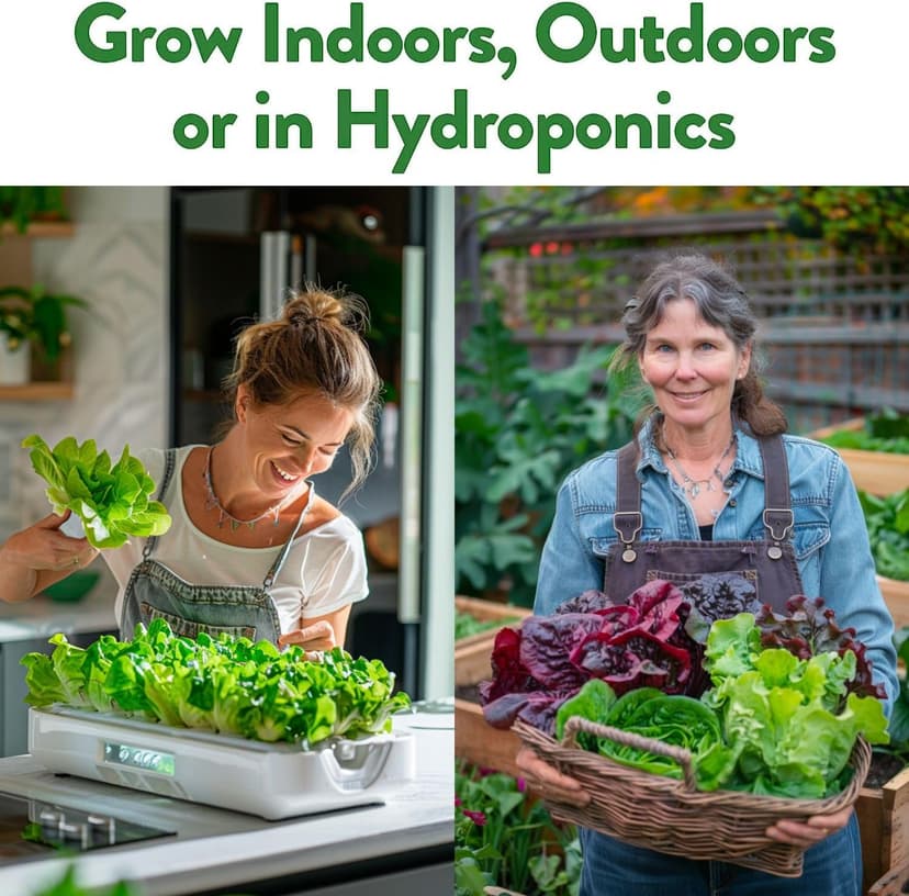 HOME GROWN 8 Lettuce & Salad Greens Seed Vault - 4,000+ 𝗡𝗢𝗡-𝗚𝗠𝗢, 𝗨𝗦𝗔-𝗦𝗢𝗨𝗥𝗖𝗘𝗗 Vegetable Seeds for Outdoors or Indoors - Seeds for Planting Hydroponic Garden