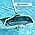 Poolmaster 22260 5-Way Swimming Pool or Spa Water Chemistry Test Kit with Case, Essential Collection