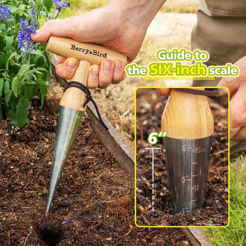 Hand Dibber – Precision Wood Handle Garden Hole Punch Dibbler Tool for Planting Seeds & Bulbs with 6'' Measuring Scale, Bulb Planter for Planting Flowers Tulips Daffodils Dahlias