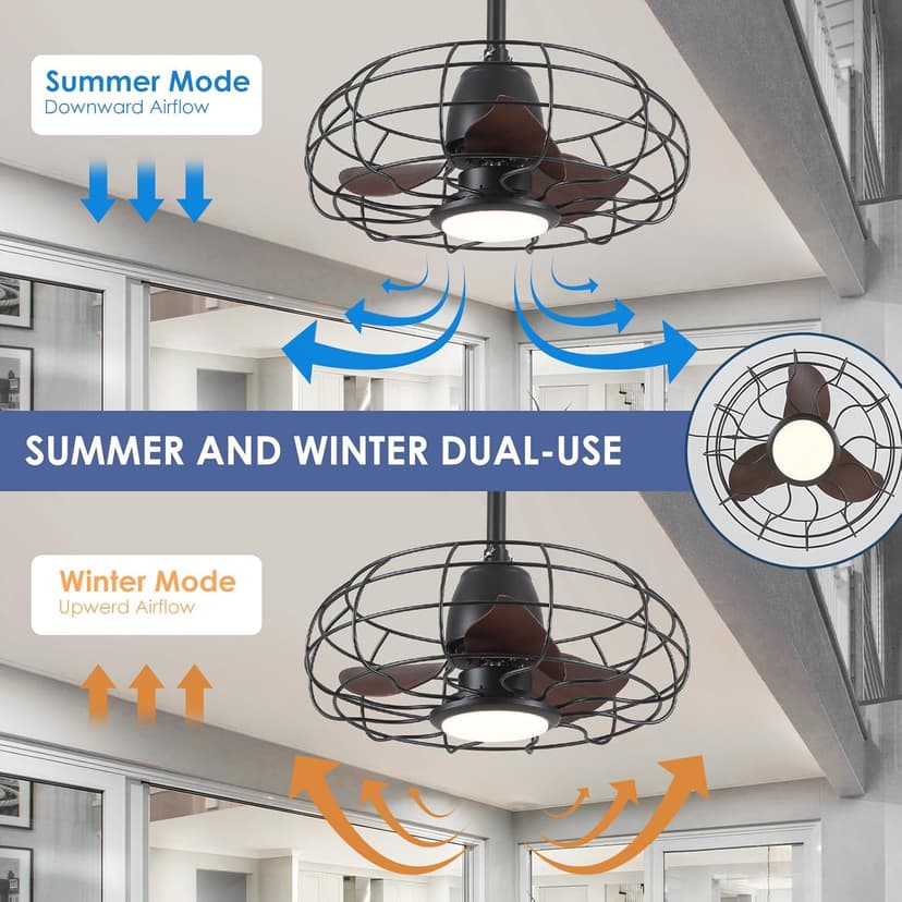 Outdoor Waterproof Ceiling Fan - 20" Caged Ceiling Fans with LED Lights, Reversible AC Motor, Low Profile Industrial Fan Light Fixture, Plug In with Hook Ceiling Fan for Outdoor Patios, Gazebo