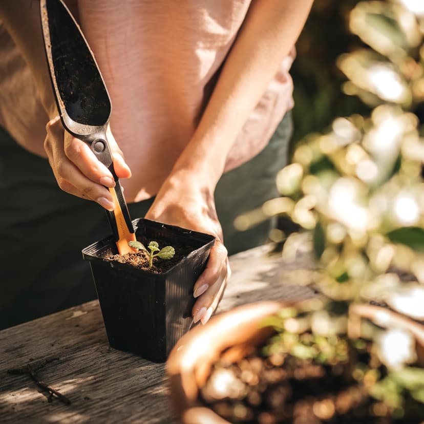 Fiskars 340110-1001 Seed Planting Trowel, Black