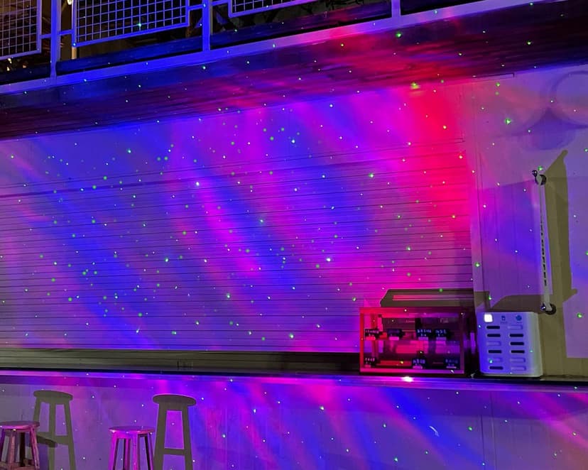 Firefly Garden Lights Star Projector Laser Christmas Lights with Colorful LED Background Light