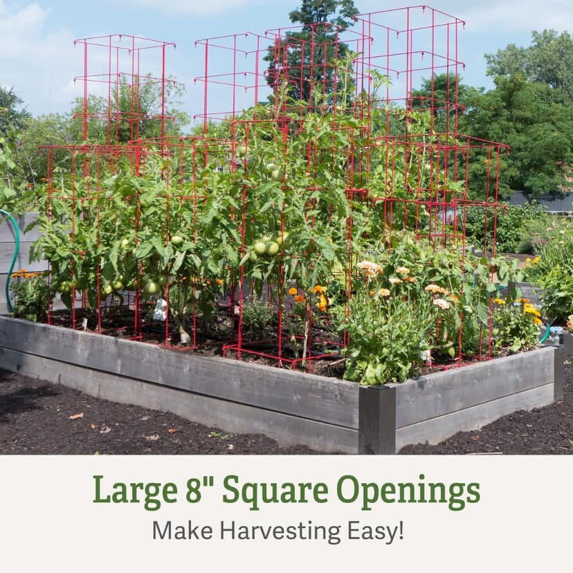 Gardener’s Supply Company Extra Tall Heavy-Guage Square Tomato Cages | Easy Fold Plant Supports & Vegetable Garden Stakes | 14.25" x 14.25" x 65" - Red (Set of 2)