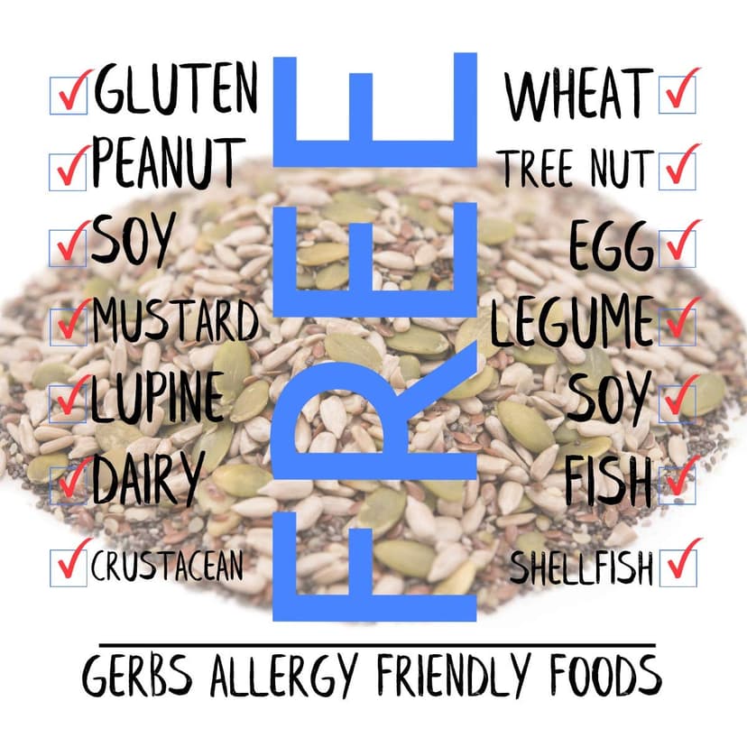 GERBS Super 5 Seed Snack Mix 1 LB. Premium Grade | Top 14 Food Allergy Free | Resealable Bulk Bag | Made in USA | Raw Pumpkin Sunflower Chia Hemp Flax Seed Trail Mix | Gluten Peanut Tree Nut Free