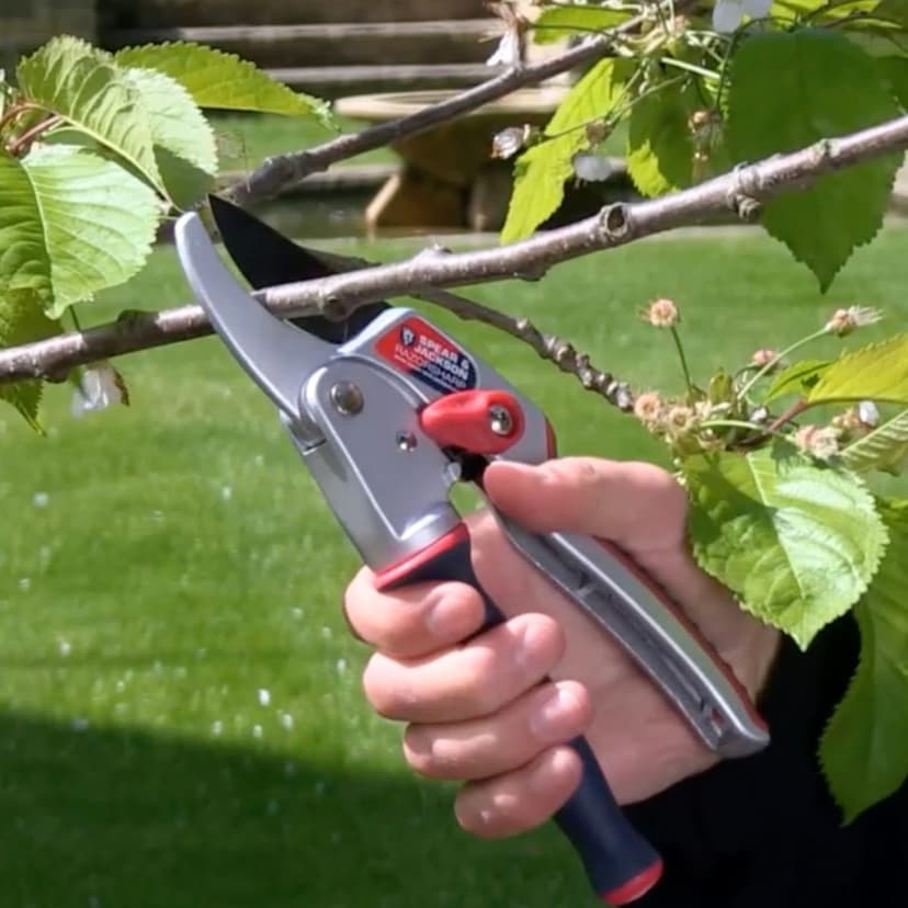 Spear & Jackson 6458RS Razorsharp Ratchet Anvil Pruners / Pruning Shears with Rotating Ergonomic Handle, Blue, 21.5 x 6.5 x 2.5 cm