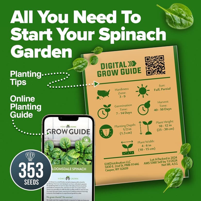 HOME GROWN Bloomsdale Spinach Seeds Pack – 353 Heirloom 𝗡𝗢𝗡-𝗚𝗠𝗢 𝗨𝗦𝗔-𝗦𝗢𝗨𝗥𝗖𝗘𝗗 Seeds – High Germination Spinach for Indoor, Outdoor, Hydroponic Planting & Home Gardens (Spinacia oleracea)