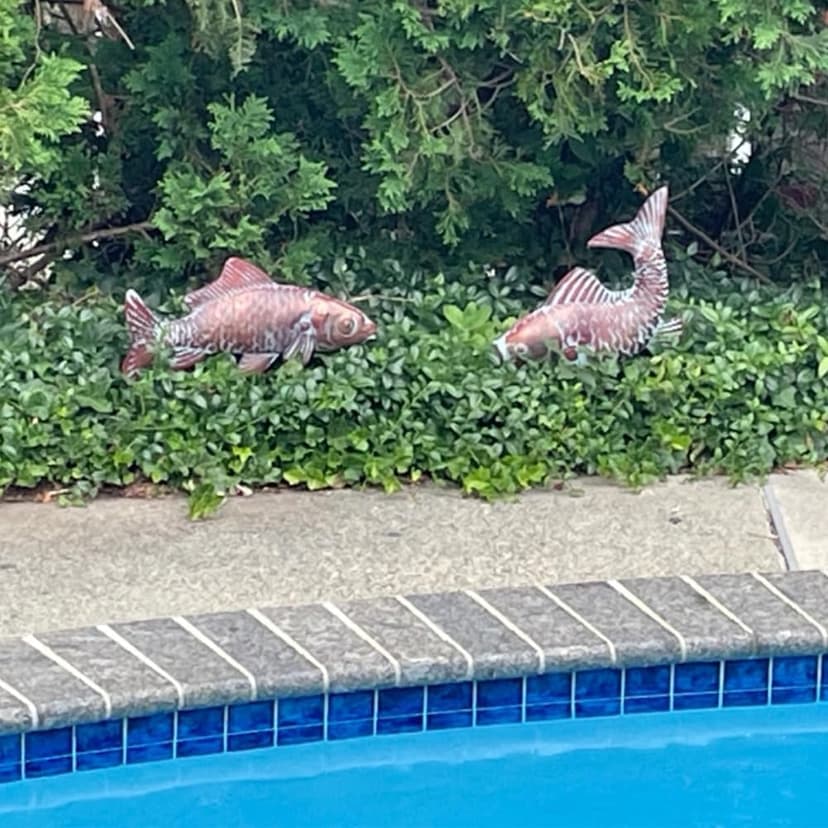 G/N CLYB Set of 2 Koi Fish Decor Outdoor Statue Sculpture Garden Pond Fishes Yard Art Antique Copper Koi Sculptures & Statues Metal Koi Fish Figurine Ornaments Décor Gifts for Women Mom Grandma
