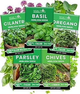 5 Herb Seeds Variety Kit, Oregano, Cilantro, Parsley, Basil, Chives