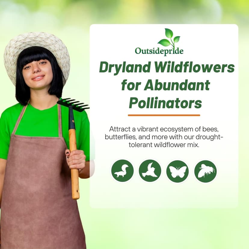 Outsidepride Dryland Wildflower Seed Mix - 1 lb. Colorful Blend of Drought Tolerant, Annual and Perennial Wildflower Seeds for Attracting Pollinators in Arid States & Xeriscapes