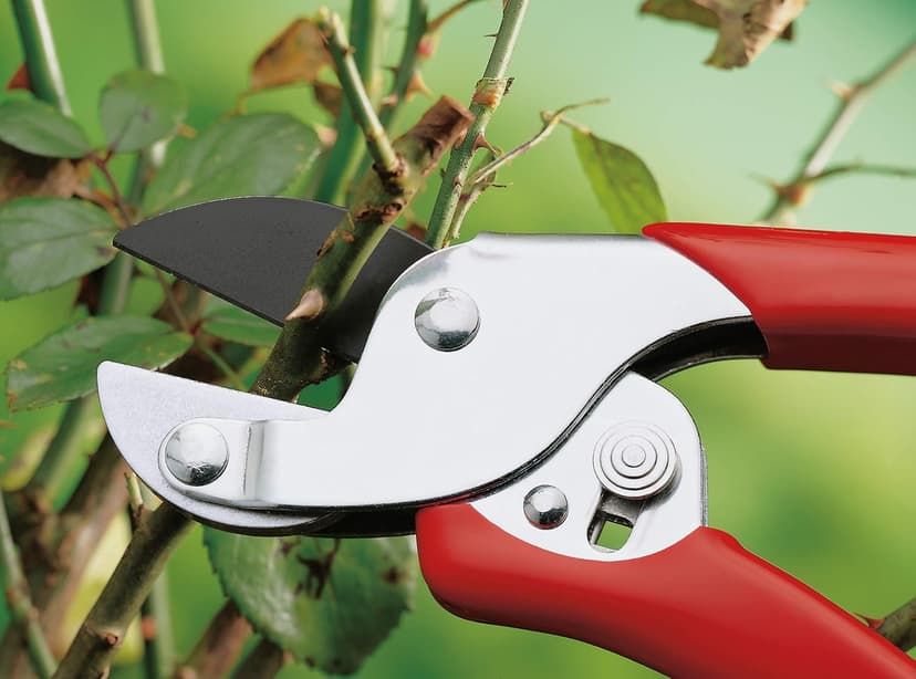 Wolf-Garten RSEN Anvil Secateurs, Red, 39.5x7.84x3 cm