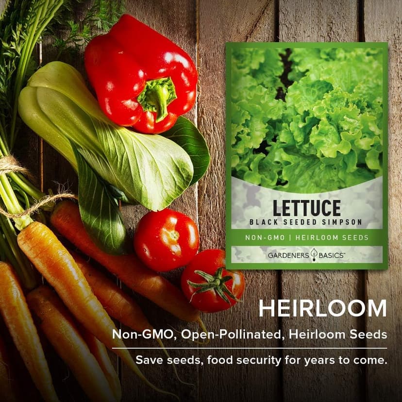Gardeners Basics, Green Leaf Lettuce Seeds for Planting - (Black Seeded Simpson Variety) Heirloom, Non-GMO Lettuce Variety- 2 Grams Seed Great for Spring, Summer, Fall, Winter Garden and Hydroponics