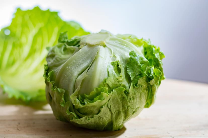 500 Iceberg Lettuce Seeds for planting - Heirloom Non-GMO USA Grown Premium Vegetable Seeds for Planting Home Garden - Crisphead Heading Lettuce Lactuca Sativa by RDR Seeds