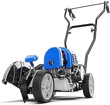 Sidewalk Edger Lawn Tool Gas 31cc WB31CCED, Blue