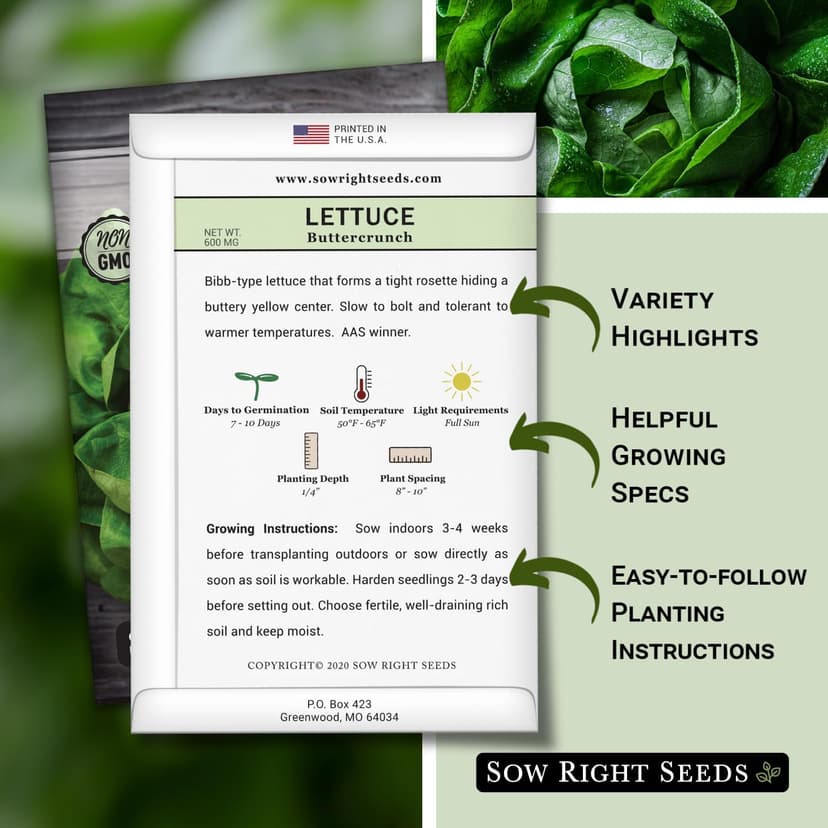 Sow Right Seeds - Buttercrunch Lettuce Seeds for Planting - Non-GMO Heirloom Packet with Instructions to Plant a Home Vegetable Garden - Outdoors or Hydroponics Indoors - Heat Tolerant Variety (1)