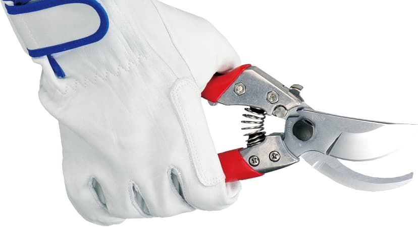 ARS HP-VS9Z Signature Heavy Duty Pruner