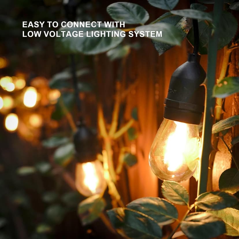GOODSMANN LED Low Voltage String Lights 12V AC 50FT 10PCS 2W Bulbs 135 Lumens Hanging Landscape Lighting 2800K String Weatherproof Decorative Lights for Patio Lights