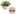 The 10 best kids gardening seeds of 2025