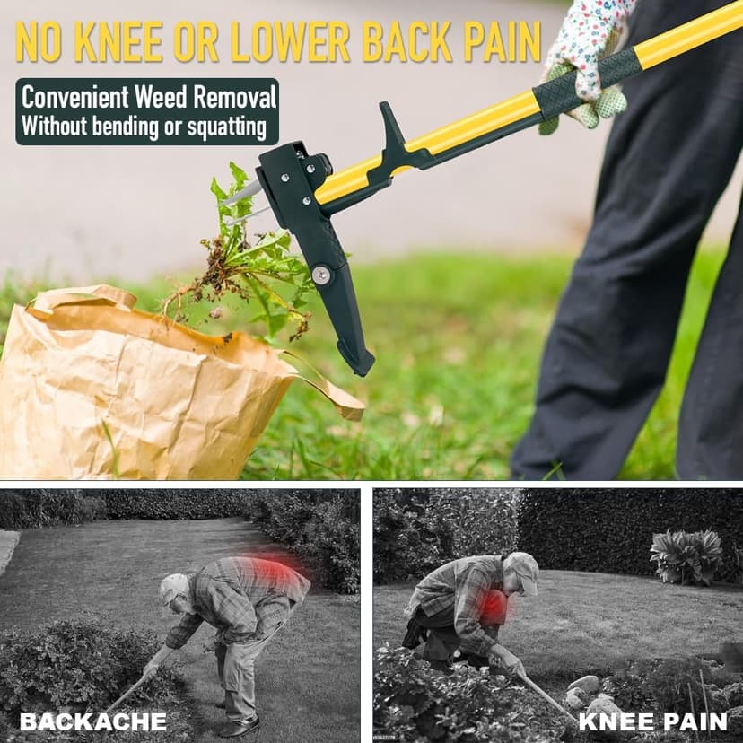 Weed Puller Tool, 50IN Long Handle 4 Claws Stand Up Weeding Tool, Extra Thickened Stainless Steel Shaft Garden Weeder,Remove the Roots of Thistles, Crabgrass, Dandelions, and Blackberries, etc.